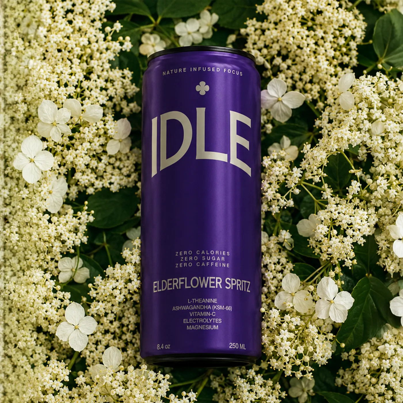 An Elderflower Spritz can on a bed of elderflower blossom